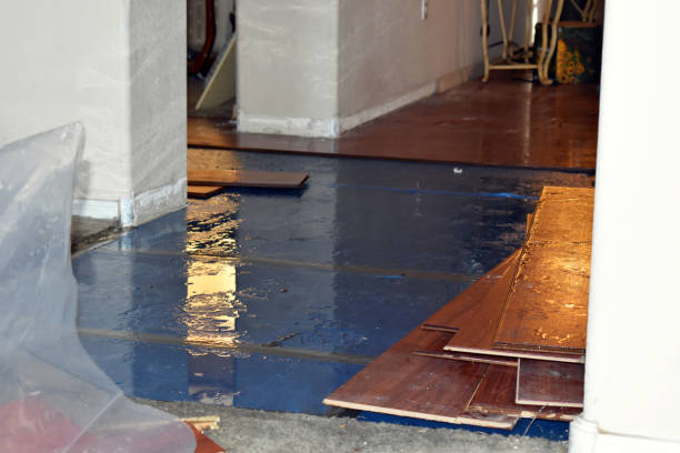 Professional Water Damage Restoration technician working in Maysville, GA